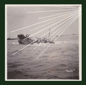 Sontag Shogun - Tale i gruppen CD hos Bengans Skivbutik AB (1003429)