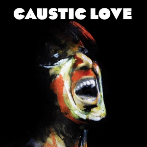 Paolo Nutini - Caustic Love i gruppen CD hos Bengans Skivbutik AB (1011658)