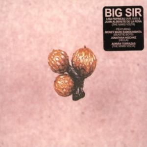Big Sir - Und Die Scheibe Andert Sichimmer i gruppen CD hos Bengans Skivbutik AB (1011988)