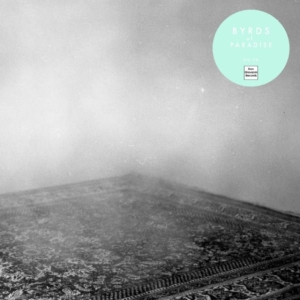 Byrds Of Paradise - Teenage Symphonies i gruppen VINYL hos Bengans Skivbutik AB (1012477)