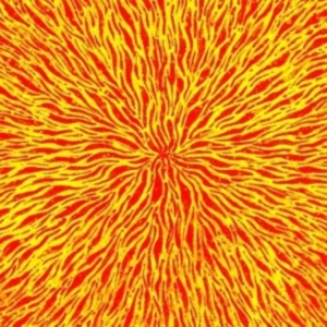 Cars & Trains - We Are All Fire i gruppen VINYL / Rock hos Bengans Skivbutik AB (1012516)