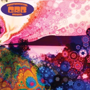 Robinson Chris & Brotherhood - Phosphorescent Harvest i gruppen CD hos Bengans Skivbutik AB (1012668)