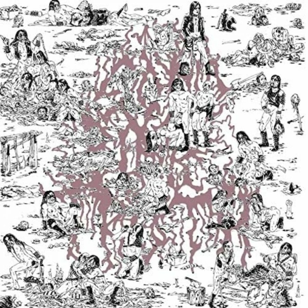 Soft Pink Truth The - Why Do The Heathen Rage? i gruppen VINYL / Rock hos Bengans Skivbutik AB (1029352)