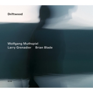 Wolfgang Muthspiel/Larry Grenadier/ - Driftwood i gruppen CD hos Bengans Skivbutik AB (1030638)