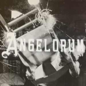 Apollo James - Angelorum i gruppen CD hos Bengans Skivbutik AB (1044926)