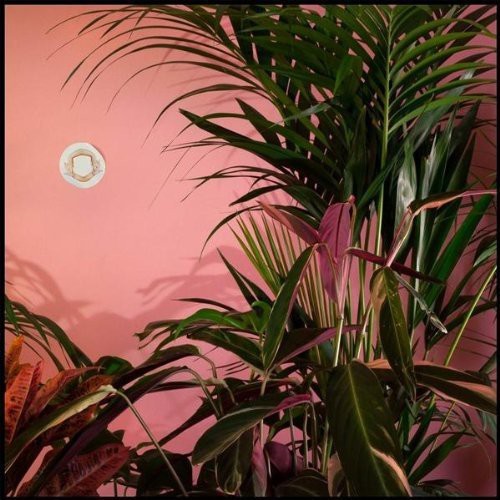 Beaty Heart - Mixed Blessings (Vinyl) i gruppen VINYL / Toppselgere hos Bengans Skivbutik AB (1049626)