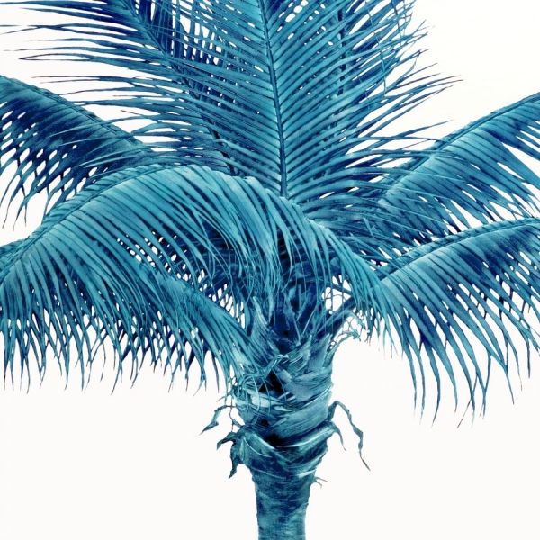 Famy - We Fam Econo i gruppen VINYL / Rock hos Bengans Skivbutik AB (1102060)
