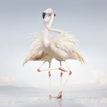 Rustie - Green Language i gruppen VINYL / Toppselgere hos Bengans Skivbutik AB (1105686)