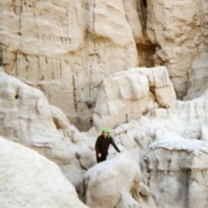 Ps Worship - Social Rust i gruppen CD hos Bengans Skivbutik AB (1108012)