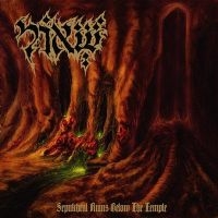 SHEOL - SEPULCHRAL RUINS BELOW THE TEMPLE i gruppen CD hos Bengans Skivbutik AB (1110930)