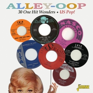 Various Artists - Alley-Oop - 30 One Hit Wonders Us P i gruppen CD hos Bengans Skivbutik AB (1111477)