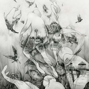Mono - Last Dawn i gruppen CD hos Bengans Skivbutik AB (1117906)