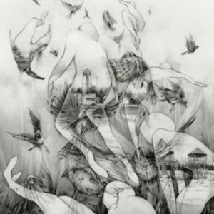 Mono - Last Dawn i gruppen VINYL hos Bengans Skivbutik AB (1117907)