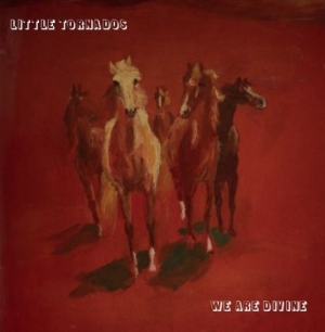 Little Tornados - We Are Divine i gruppen VINYL hos Bengans Skivbutik AB (1125535)