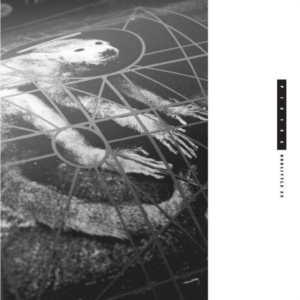 Pixies - Doolittle 25 i gruppen Minishops / Pixies hos Bengans Skivbutik AB (1126365)