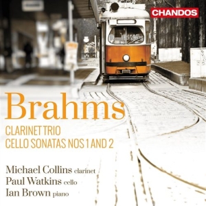 Brahms - Clarinet Trio i gruppen CD / Klassisk hos Bengans Skivbutik AB (1126887)