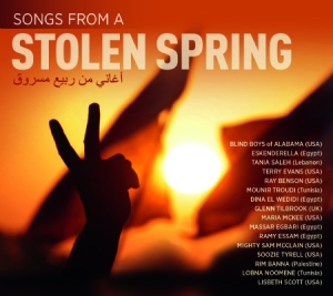 Various Artists - Songs From A Stolen Spring i gruppen CD hos Bengans Skivbutik AB (1134493)