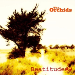 Orchids - Beatitude # 9 i gruppen CD hos Bengans Skivbutik AB (1136905)