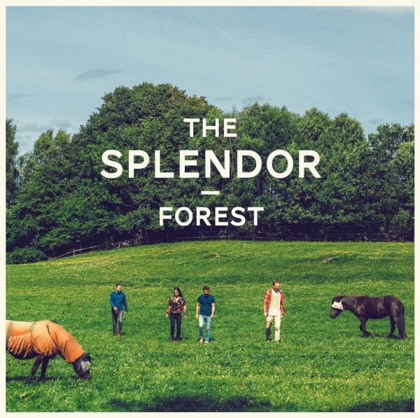 Splendor - Forest i gruppen VINYL / Toppselgere hos Bengans Skivbutik AB (1142506)
