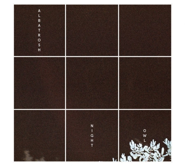 Albatrosh - Night Owl i gruppen VINYL / Toppselgere hos Bengans Skivbutik AB (1146814)