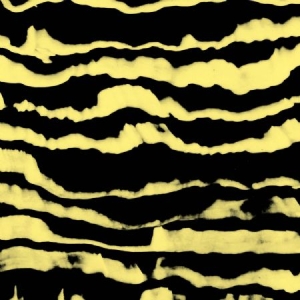Gajek - Restless Shapes i gruppen CD hos Bengans Skivbutik AB (1154936)