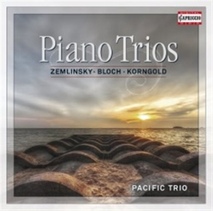 Various Composers - Piano Trios i gruppen CD / Klassisk hos Bengans Skivbutik AB (1161817)