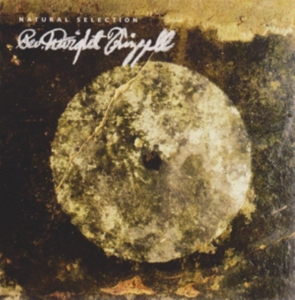 Rev. Dwight Frizzell - Natural Selection i gruppen CD hos Bengans Skivbutik AB (1164817)