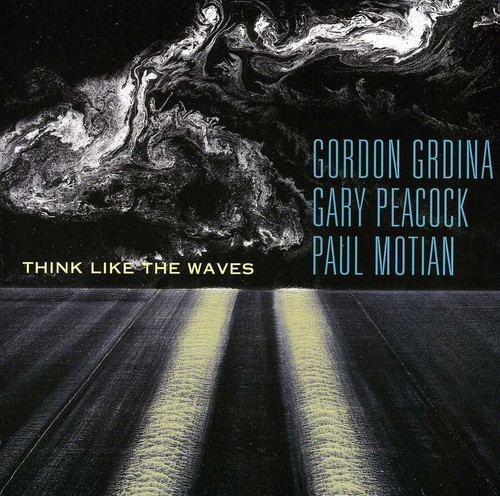 Grdina Gordon/Gary Peacock & Paul M - Think Like The Waves i gruppen Musikk / SACD / Jazz/Blues hos Bengans Skivbutik AB (1176474)