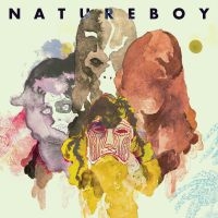 Flako - Natureboy i gruppen CD hos Bengans Skivbutik AB (1181558)