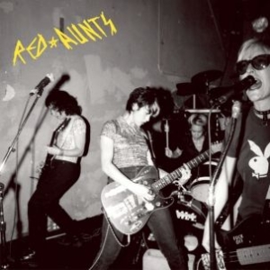 Red Aunts - Come Up For A Closer Look i gruppen VINYL hos Bengans Skivbutik AB (1185455)