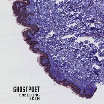 Ghostpoet - Shedding Skin i gruppen CD / Toppselgere hos Bengans Skivbutik AB (1187237)