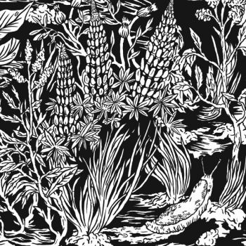 Eternal Tapestry - Wild Strawberries i gruppen CD / Toppselgere hos Bengans Skivbutik AB (1191606)