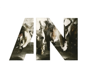 Awolnation - Run i gruppen CD hos Bengans Skivbutik AB (1193208)