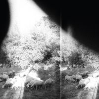 Godspeed You! Black Emperor - Asunder, Sweet And Other Distress ( i gruppen VINYL hos Bengans Skivbutik AB (1263302)