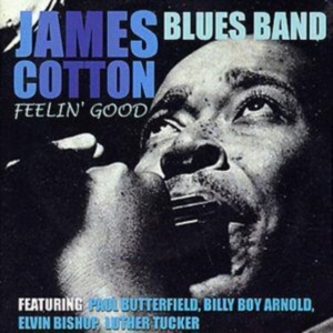 Cotton James - Feelin? Good i gruppen CD hos Bengans Skivbutik AB (1266486)