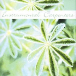 Instrumental Carpenters - Instrumental Carpenters i gruppen CD hos Bengans Skivbutik AB (1267013)