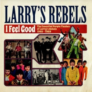 Larry's Rebels - I Feel Good: The Essential Purple F i gruppen CD hos Bengans Skivbutik AB (1267136)