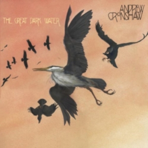 Cronshaw Andrew - Great Dark Water i gruppen CD hos Bengans Skivbutik AB (1267170)