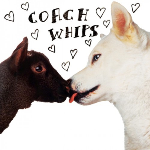 Coachwhips - Bangers Vs Fuckers i gruppen CD / Toppselgere hos Bengans Skivbutik AB (1270752)