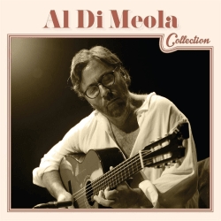 Di Meola Al - Al Di Meola Collection i gruppen CD / Toppselgere hos Bengans Skivbutik AB (1273340)