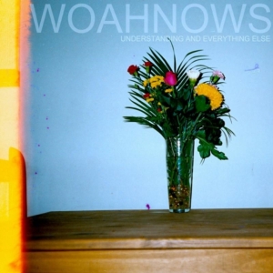 Woahnows - Understanding And Everything Else i gruppen VINYL hos Bengans Skivbutik AB (1275696)