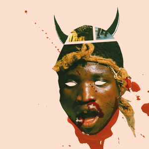 Laband Felix - Deaf Safari (2Lp+Cd) i gruppen VINYL hos Bengans Skivbutik AB (1296617)