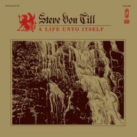 Von Till Steve - A Life Unto Itself (Vinyl Lp) i gruppen VINYL hos Bengans Skivbutik AB (1296772)