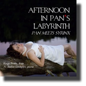 Kinga Práda / Stefan Lindgren - Afternoon In Pan´S Labyrinth i gruppen CD hos Bengans Skivbutik AB (1317769)