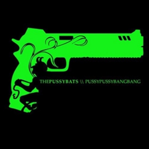 Pussybats - Pussypussybangbang i gruppen CD hos Bengans Skivbutik AB (1333899)