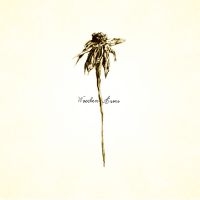 Patrick Watson - Wooden Arms i gruppen CD hos Bengans Skivbutik AB (1333941)