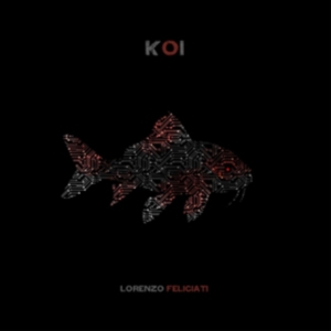 Feliciati Lorenzo - Koi (180 G) i gruppen VINYL hos Bengans Skivbutik AB (1334859)