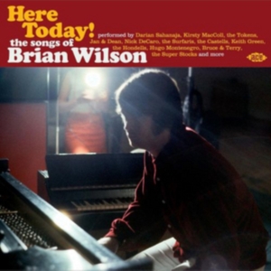 Various Artists - Here Today! The Songs Of Brian Wils i gruppen CD hos Bengans Skivbutik AB (1336047)