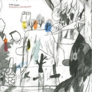 In The Country - Losing Stones, Collecting Bones i gruppen CD hos Bengans Skivbutik AB (1475356)
