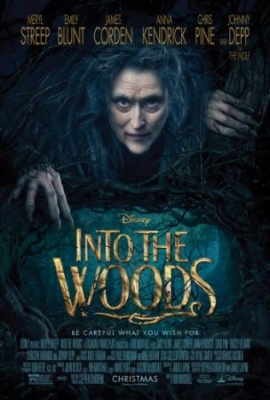 Into The Woods (2015) i gruppen Film DVD hos Bengans Skivbutik AB (1479465)